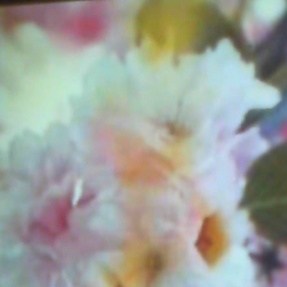 Meet your Posher, Annette